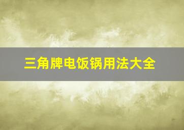 三角牌电饭锅用法大全