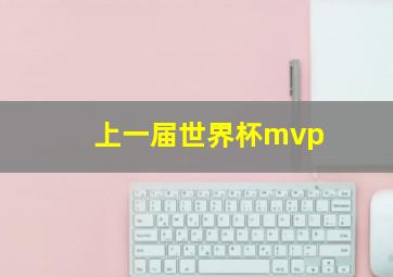 上一届世界杯mvp