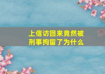 上信访回来竟然被刑事拘留了为什么