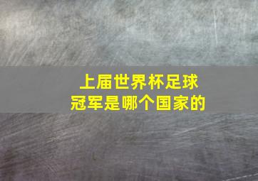 上届世界杯足球冠军是哪个国家的