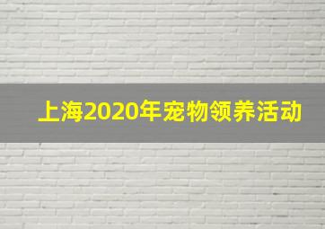 上海2020年宠物领养活动