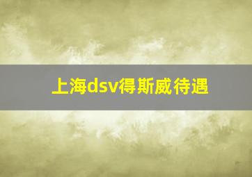 上海dsv得斯威待遇