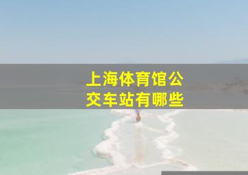 上海体育馆公交车站有哪些