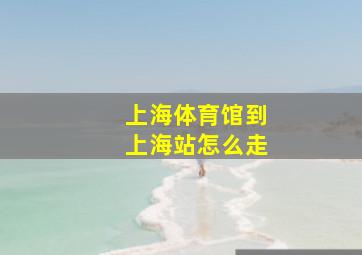 上海体育馆到上海站怎么走