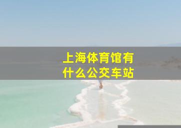 上海体育馆有什么公交车站