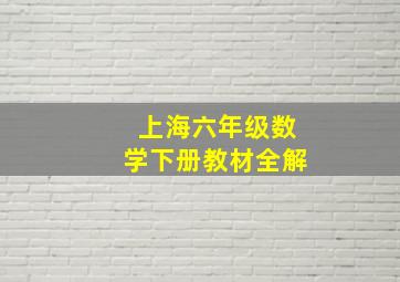 上海六年级数学下册教材全解