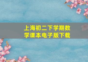 上海初二下学期数学课本电子版下载