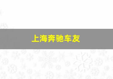 上海奔驰车友