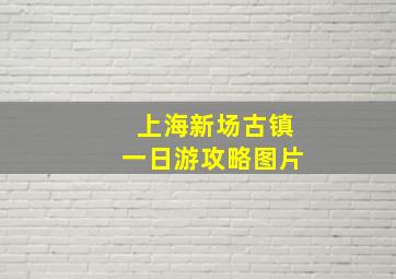 上海新场古镇一日游攻略图片