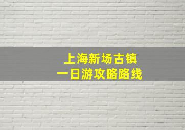 上海新场古镇一日游攻略路线