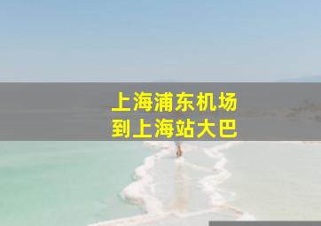 上海浦东机场到上海站大巴