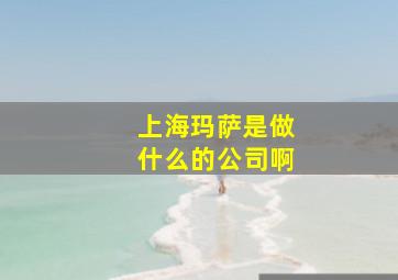 上海玛萨是做什么的公司啊