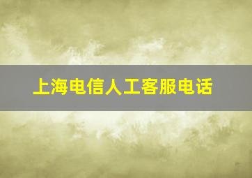 上海电信人工客服电话