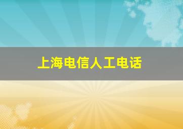 上海电信人工电话