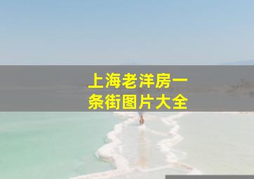 上海老洋房一条街图片大全