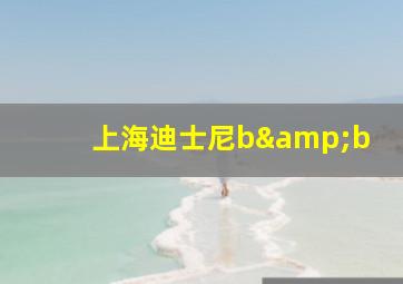 上海迪士尼b&b