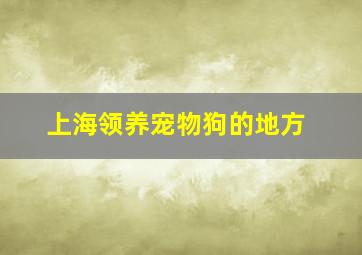 上海领养宠物狗的地方