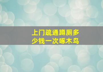 上门疏通蹲厕多少钱一次啄木鸟