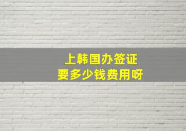 上韩国办签证要多少钱费用呀