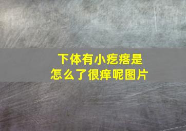 下体有小疙瘩是怎么了很痒呢图片