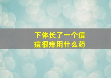 下体长了一个痘痘很痒用什么药