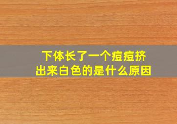 下体长了一个痘痘挤出来白色的是什么原因