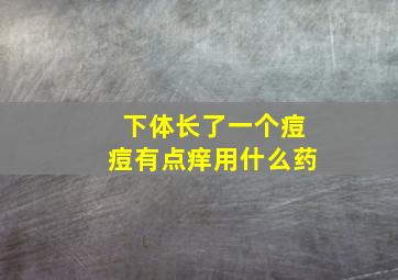 下体长了一个痘痘有点痒用什么药