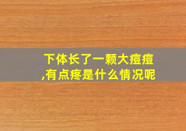 下体长了一颗大痘痘,有点疼是什么情况呢