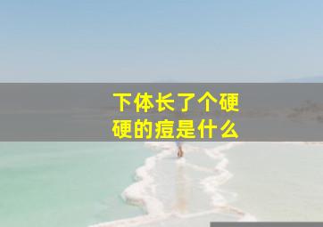 下体长了个硬硬的痘是什么