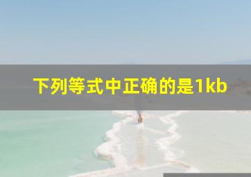 下列等式中正确的是1kb