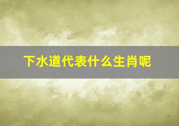 下水道代表什么生肖呢