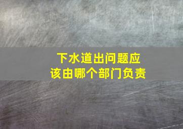 下水道出问题应该由哪个部门负责