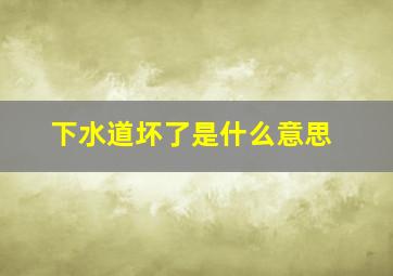 下水道坏了是什么意思