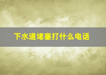 下水道堵塞打什么电话