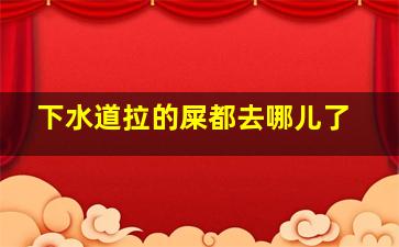 下水道拉的屎都去哪儿了