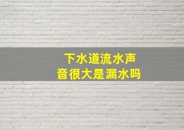 下水道流水声音很大是漏水吗