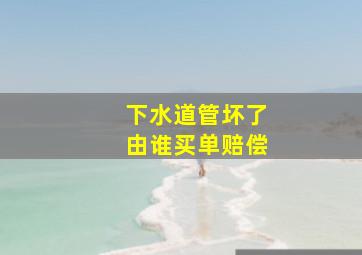 下水道管坏了由谁买单赔偿