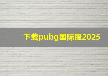 下载pubg国际服2025