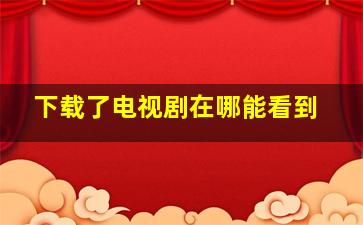 下载了电视剧在哪能看到