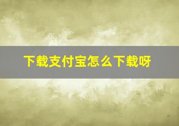 下载支付宝怎么下载呀