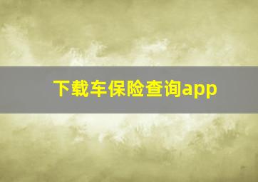 下载车保险查询app