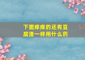 下面痒痒的还有豆腐渣一样用什么药