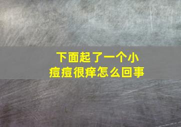 下面起了一个小痘痘很痒怎么回事