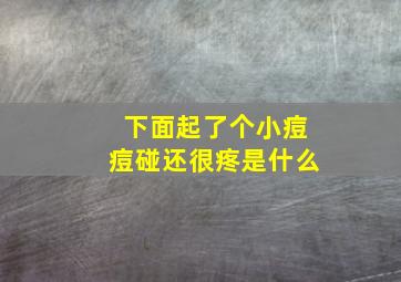 下面起了个小痘痘碰还很疼是什么