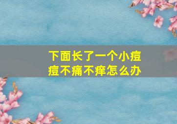 下面长了一个小痘痘不痛不痒怎么办