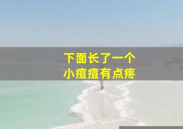 下面长了一个小痘痘有点疼