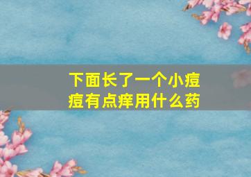 下面长了一个小痘痘有点痒用什么药