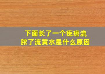 下面长了一个疙瘩流脓了流黄水是什么原因