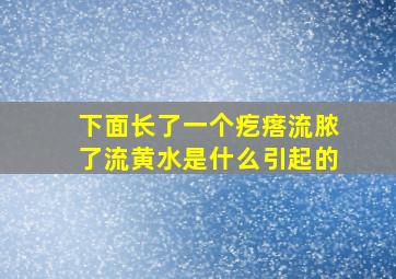 下面长了一个疙瘩流脓了流黄水是什么引起的