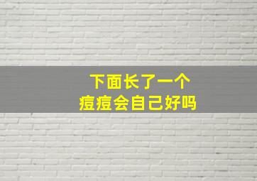 下面长了一个痘痘会自己好吗